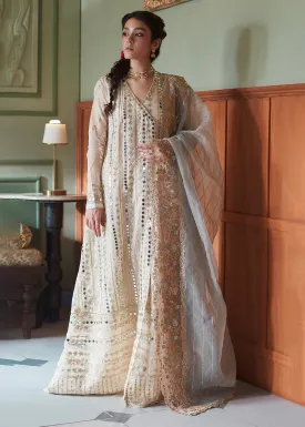 Beige Organza Net Pakistani Suit | Mushq | Qala Kamdaani | Aaima