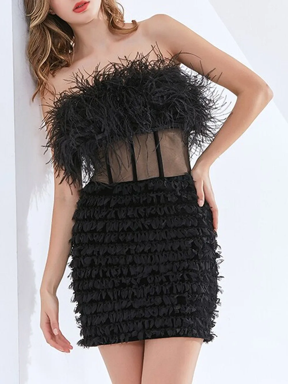 CIERA Feathers Dress