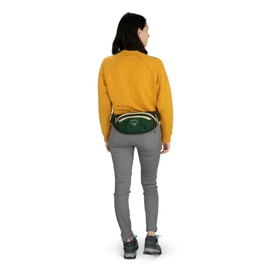 Daylite Waist Pack