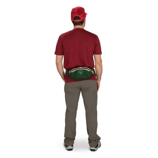 Daylite Waist Pack